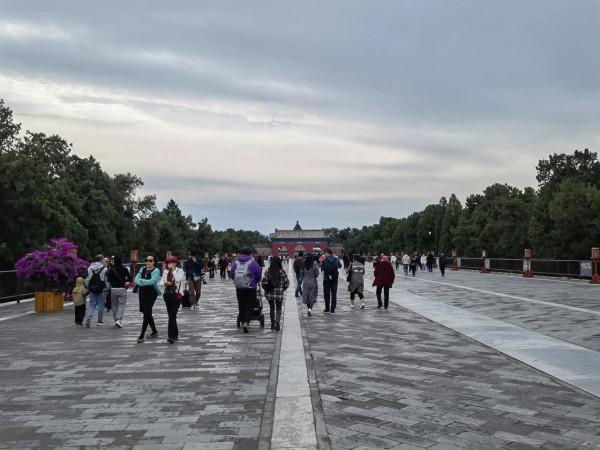 天壇公園的小松鼠 天壇公園的小松鼠