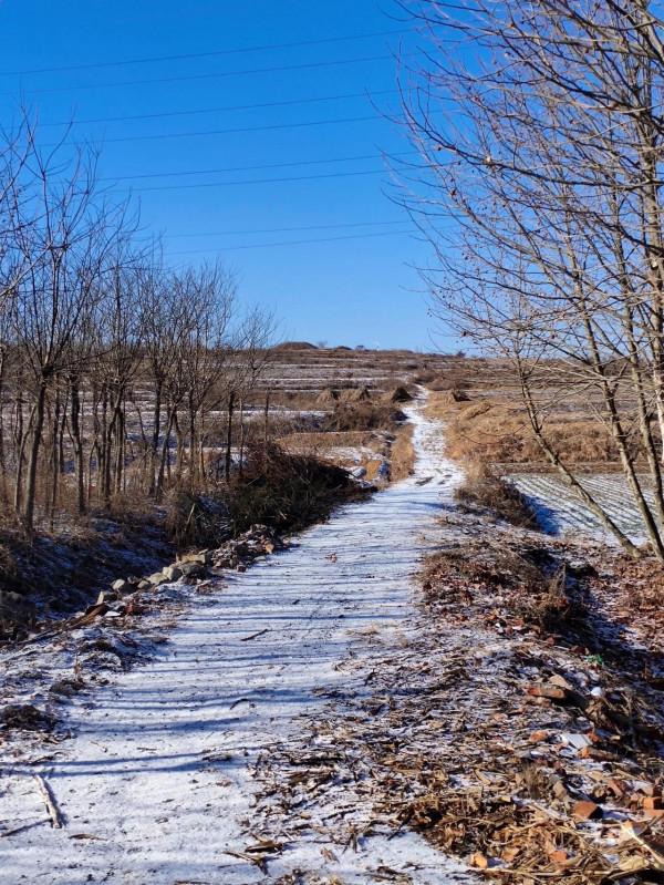 實地探訪即墨區溫泉街道西石橋漢墓群