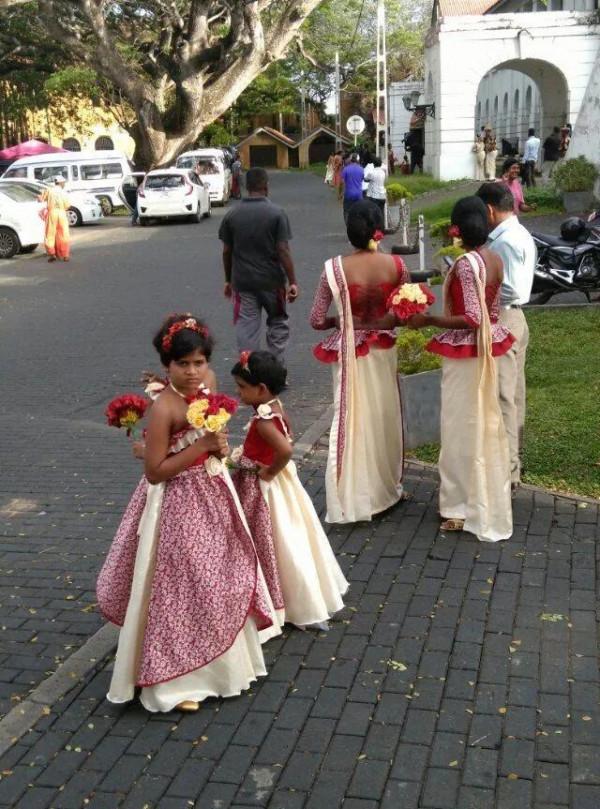 斯里蘭卡--回味無窮的青橄欖