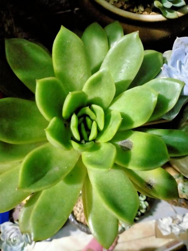 今年天氣真夠嗆