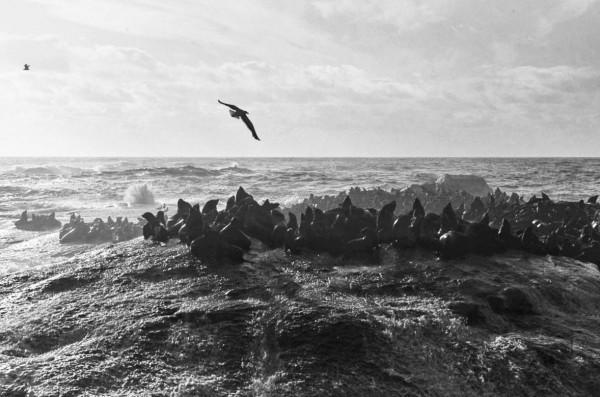 那個遙不可及的好望角，為什麼原來叫“風暴角”？它究竟在哪裡