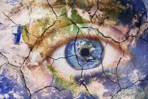 如果Y染色體消失了，男性會滅絕嗎？