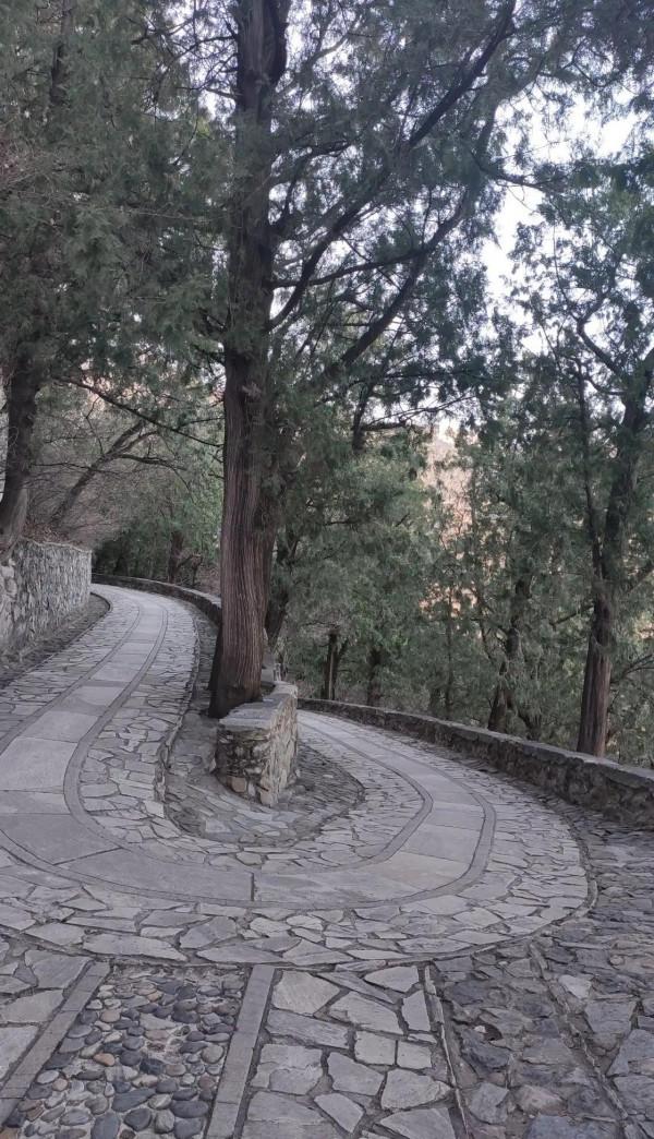 去香山登高，一定要走緩坡來保護膝蓋