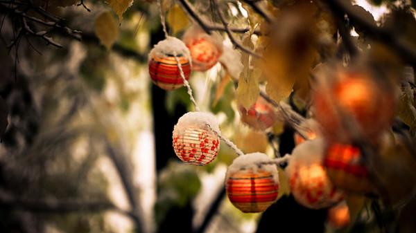 10個帶「卉」字水蜜桃般的寶寶名，個個都值得細細品味