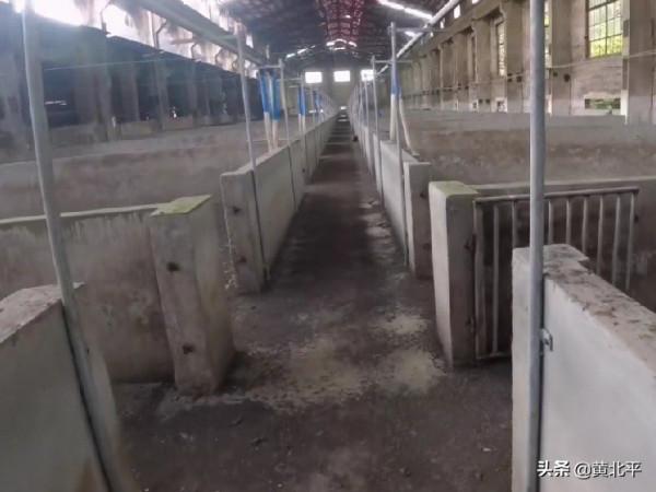 重慶江津區晉江夏壩鎮晉江機械廠，上萬人的軍工企業主要生產大炮