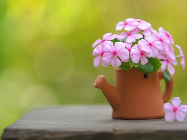 懂得&OpenCurlyDoubleQuote;悶聲發大財&rdquo;的，往往是聰明人