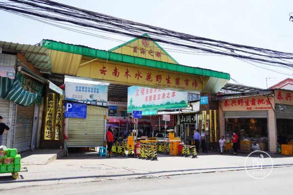 1小時飛攏的城市,有全國最好逛的市場 1小時飛攏的城市,有全國最好逛的市場