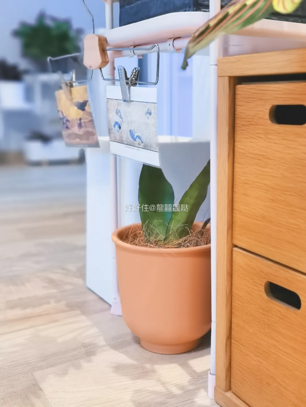 這些20元以內的收納好物,恨不得讓家越住越大 這些20元以內的收納好物,恨不得讓家越住越大