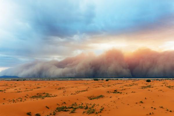 每年1.82億噸沙塵,撒哈拉沙漠滋養亞馬遜雨林,美國人卻痛苦不堪 每年1.82億噸沙塵,撒哈拉沙漠滋養亞馬遜雨林,美國人卻痛苦不堪