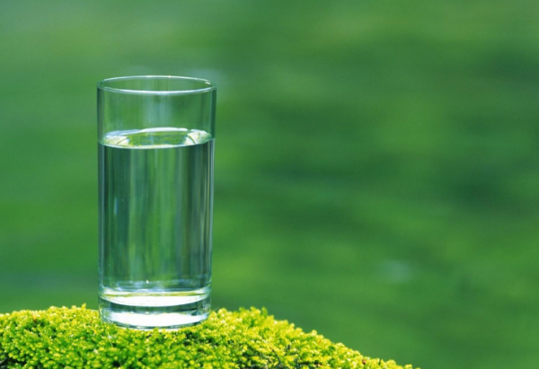 真正對你好的人，不會指望你的報答