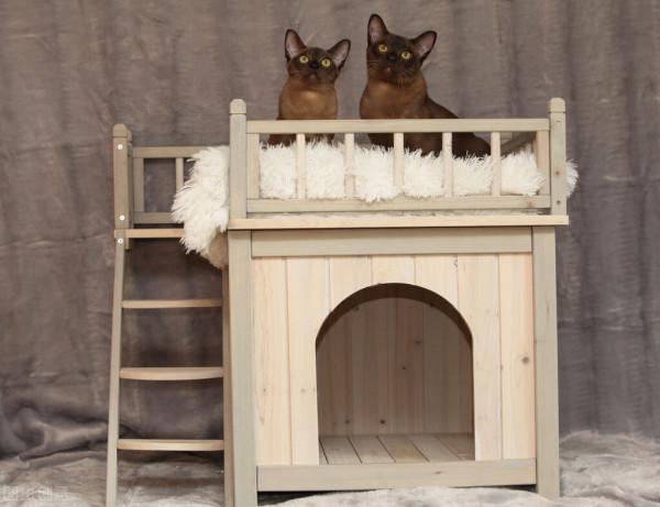 把孩子全託給了退休後的父母,沒有時間探望,他們在幹什麼? 把孩子全託給了退休後的父母,沒有時間探望,他們在幹什麼?