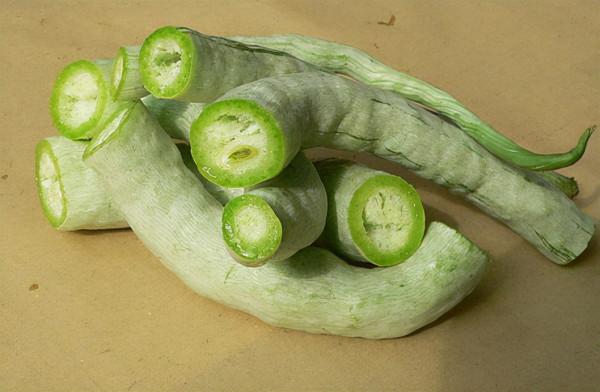 蛇瓜：當珍稀蔬菜引進，畝產達5噸，國內推廣多年一直不溫不火