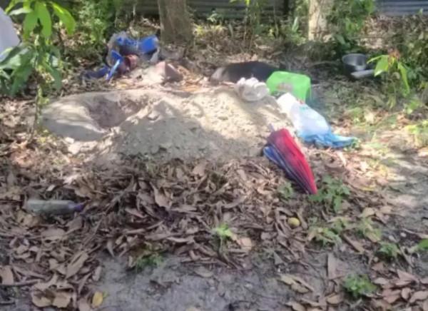 狗狗患病主人不救反而給它挖坑，他一邊挖一邊對它說：你快死吧