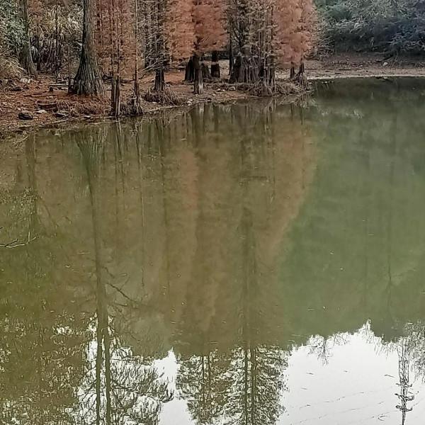 盤點難忘的2021 盤點難忘的2021