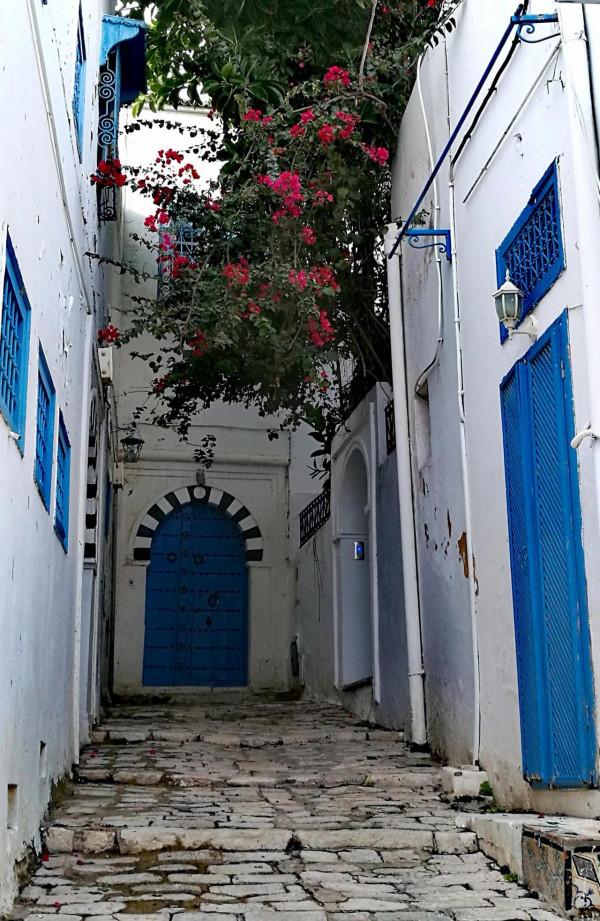 世界那麼大，我想去看看---突尼西亞篇