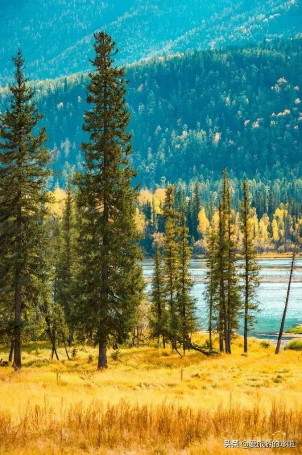 第一次去新疆怎麼玩！花了1個月總結出的保姆級攻略送上