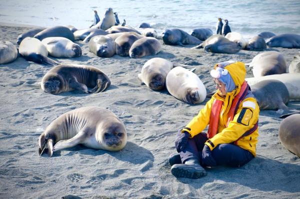 我們去南極結婚了 我們去南極結婚了