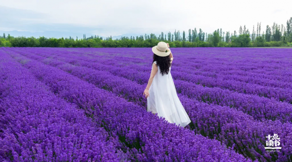 “不要高估你和任何人的關係,記住了” “不要高估你和任何人的關係,記住了”