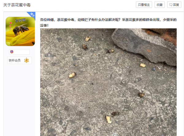 “霜降”前後，蜜蜂大量死亡，死因不僅是中毒，還要注意這兩件事