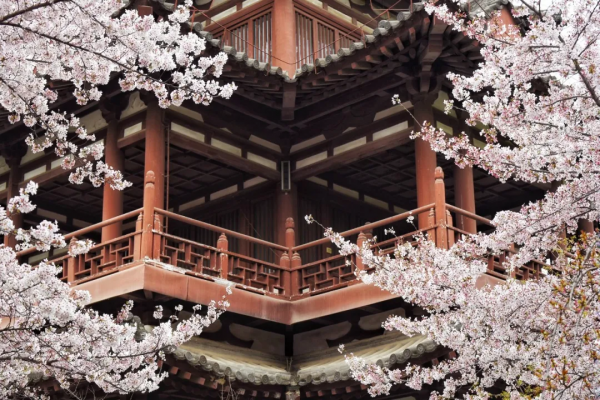 關於西安怎麼玩,這篇真的好詳細 關於西安怎麼玩,這篇真的好詳細