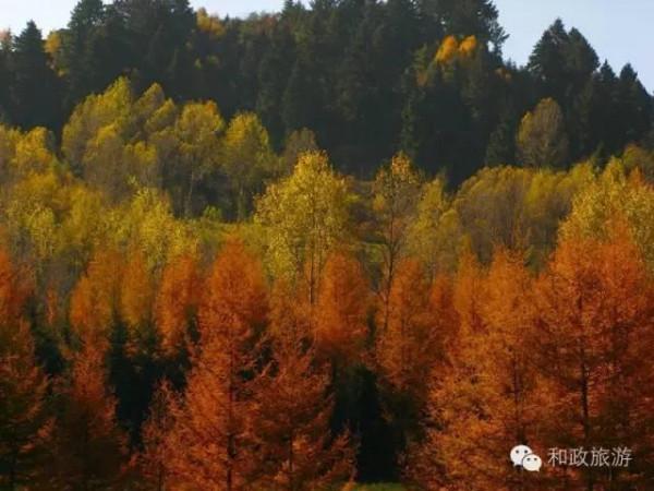 秋韻•和政松鳴巖 一幅大寫意的水彩畫