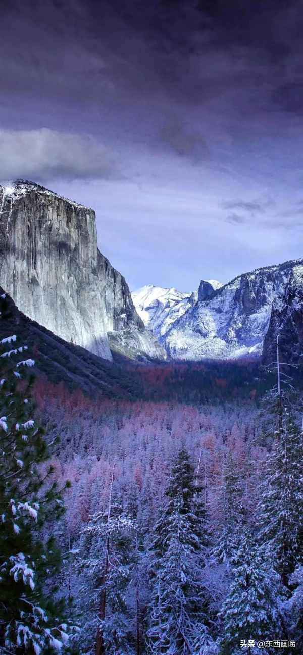 初冬｜100組詩句，帶你品讀冬日的美好