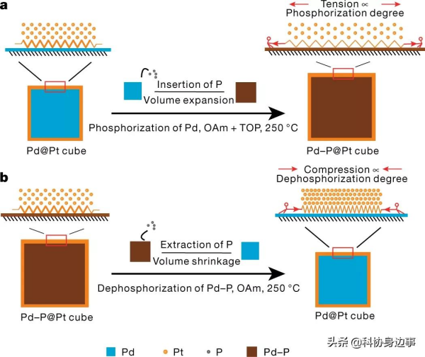 今日科技話題：“奮鬥者”號、遠望3號船、自主水下機器人、鉑催化劑晶格應變、新型太陽耀斑
