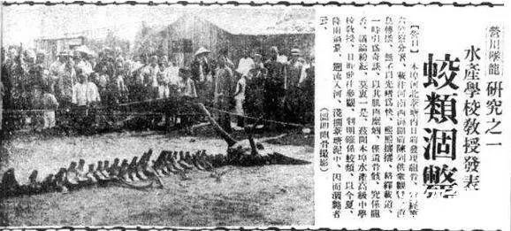 真實生活中，是否有&OpenCurlyDoubleQuote;龍&rdquo;存在？東北一位老人拿出了5塊&OpenCurlyDoubleQuote;龍骨&rdquo;