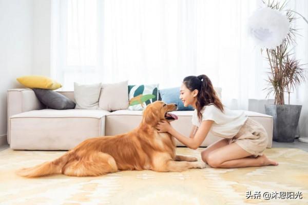 房間凌亂的家庭，養不出優秀的孩子