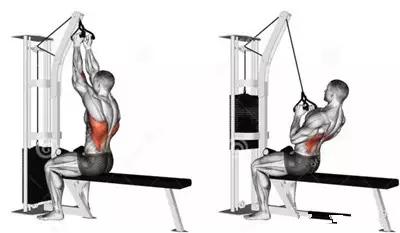 不練背容易駝背,練背的方法大全都在這裡了 不練背容易駝背,練背的方法大全都在這裡了