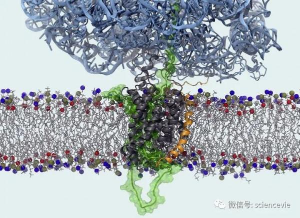 世界上解析度最高的照片,甚至可以看清原子的模樣! 世界上解析度最高的照片,甚至可以看清原子的模樣!