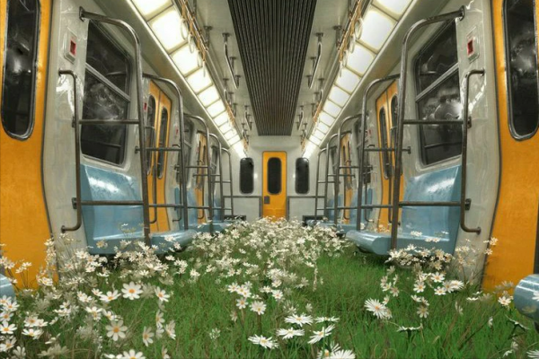 抗壓能力極強的星座,不管在什麼環境都能生存,堅韌不拔易成大事 抗壓能力極強的星座,不管在什麼環境都能生存,堅韌不拔易成大事