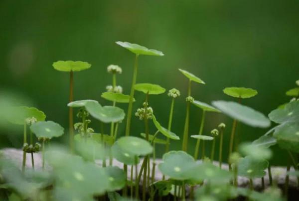 從今往後,儘量不去以下幾種家庭裡串門 從今往後,儘量不去以下幾種家庭裡串門