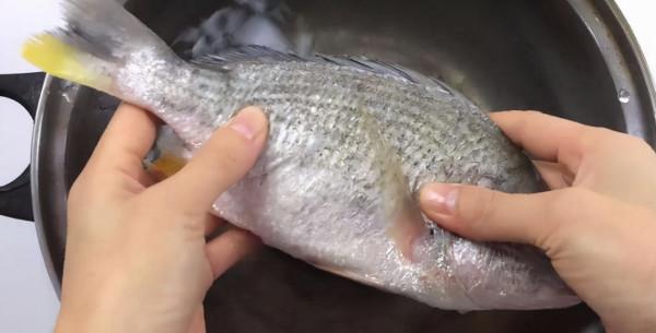不管解凍什麼魚,切記別用水泡,教你一招,簡單快速,比活魚新鮮 不管解凍什麼魚,切記別用水泡,教你一招,簡單快速,比活魚新鮮
