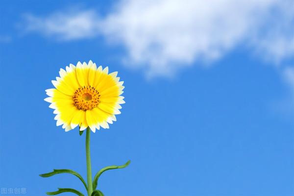 開啟心鎖，解開“心結”，用心溝通，凡事皆可解決