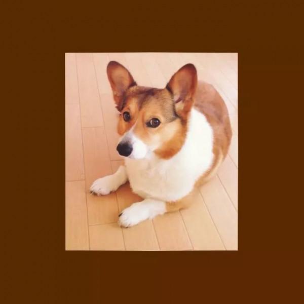 日本網友的魔性簡筆畫,太有靈魂了哈哈哈哈哈 日本網友的魔性簡筆畫,太有靈魂了哈哈哈哈哈