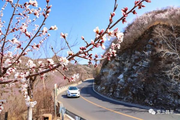 美成仙境的京郊延壽醉美公路，玩賞正當時！