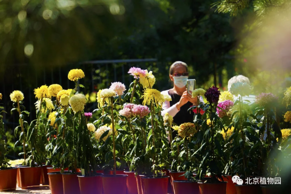 橙黃橘綠時,與您共相約 橙黃橘綠時,與您共相約