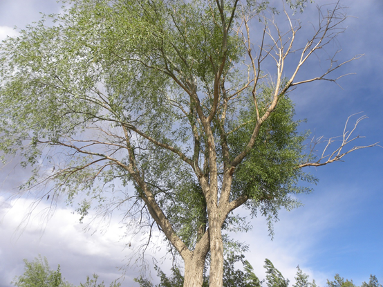 來看看中國-吉爾吉斯斯坦的邊界小城-阿合奇,帶你體驗異域風情 來看看中國-吉爾吉斯斯坦的邊界小城-阿合奇,帶你體驗異域風情