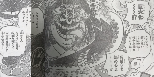 海賊王：20年前的設定沒變，大媽力量提升，路飛的五檔也是如此