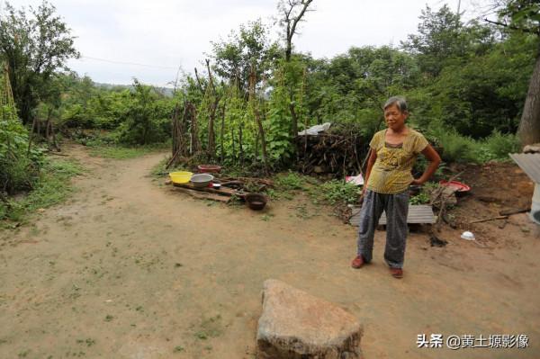 孫子回農村老家過暑假，家裡的雞見了他都害怕，看他都幹了些啥