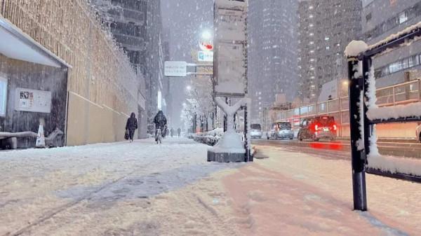 2022東京初雪,這個近45年來最冷的冬天,美翻了 2022東京初雪,這個近45年來最冷的冬天,美翻了