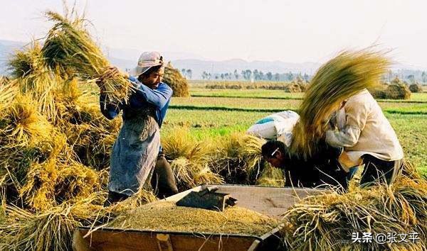 殳：甲骨文就有這個字，山西人至今還常掛在嘴邊，可沒幾個人認識