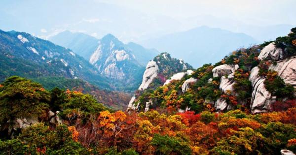 11月，看湖北，層林盡染！