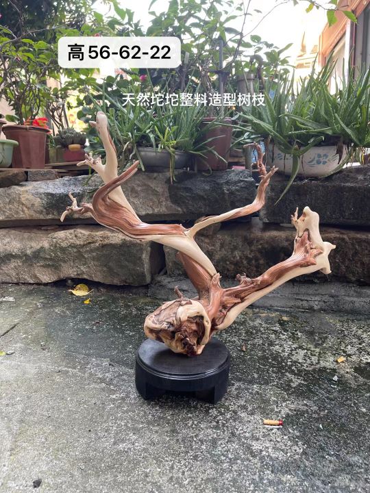 爛樹根？不對，這枝丫盤亙如降龍的崖柏木雕，分明是藝術品啊