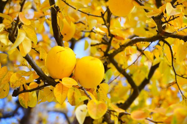 淡定從容，世事無常，心安即是歸處
