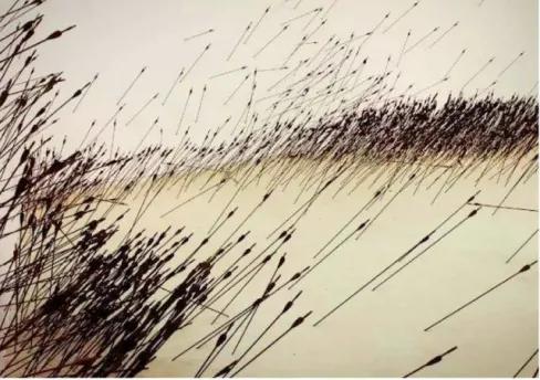 諸葛亮草船借箭時，曹操為什麼不射一支火箭過去？