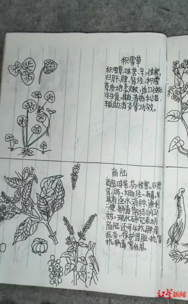 &OpenCurlyDoubleQuote;我的天才兒子？&rdquo;13歲兒子期末沒考好，父親從書包裡翻出一本手繪中草藥圖