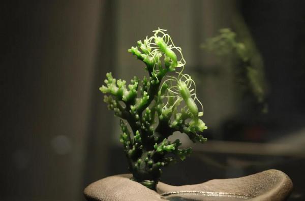 籽料原石與雕刻後的籽料，那個更具體有收藏價值