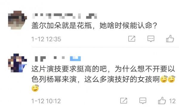 蓋爾加朵要演新捉賊記，卻被網友吐槽是花瓶，只因原版女演員太牛